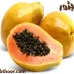 بذور البابايا - جملة (Carica papaya 1 )